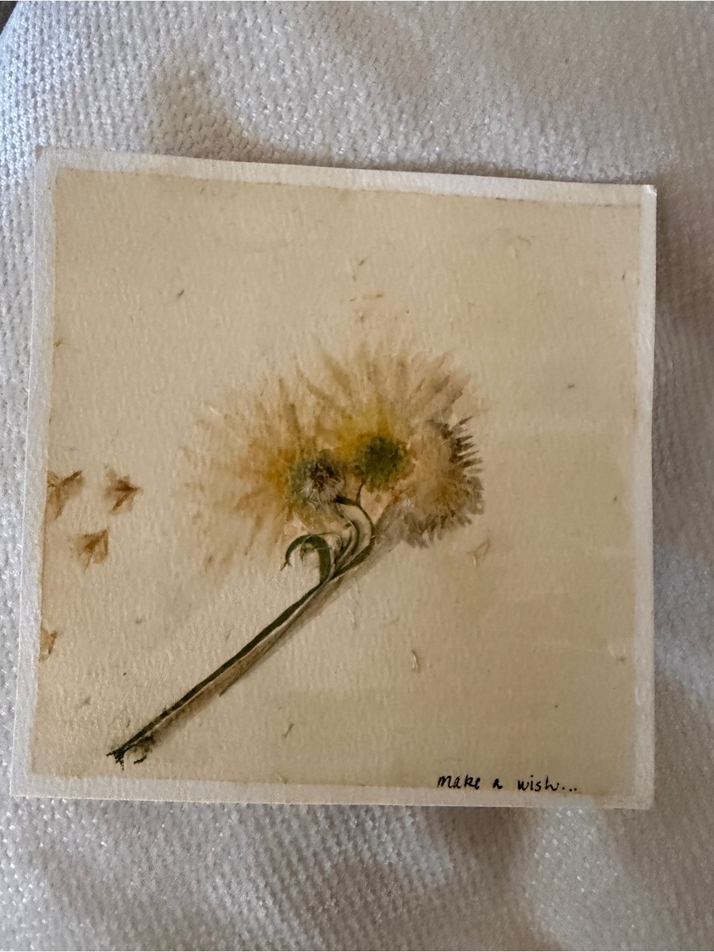 Make a Wish Dandelion pressed Watercolor Art Print - Cream and Green 6x6”